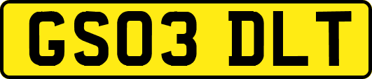 GS03DLT