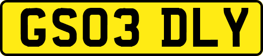GS03DLY