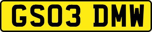 GS03DMW