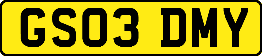 GS03DMY
