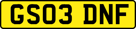 GS03DNF