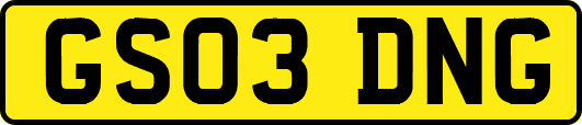GS03DNG