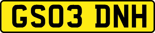 GS03DNH