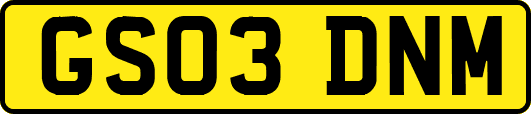 GS03DNM