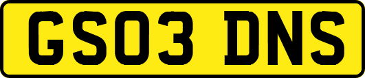 GS03DNS