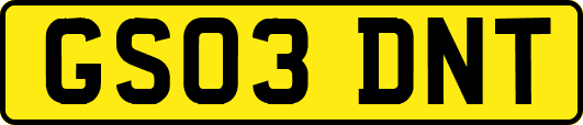 GS03DNT
