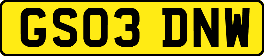 GS03DNW