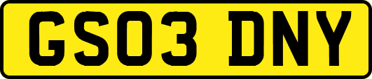 GS03DNY
