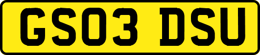 GS03DSU