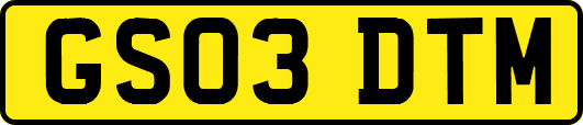 GS03DTM