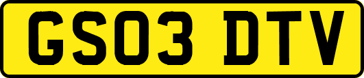 GS03DTV
