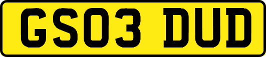 GS03DUD