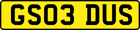 GS03DUS
