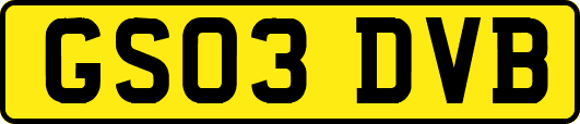 GS03DVB