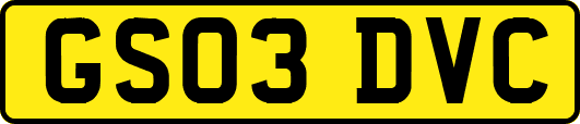 GS03DVC