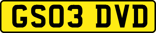 GS03DVD