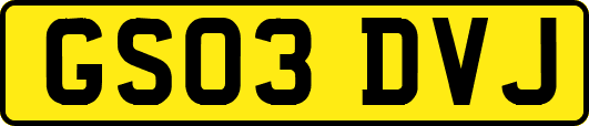 GS03DVJ