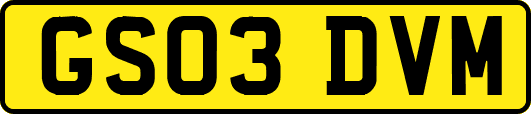 GS03DVM