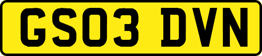 GS03DVN