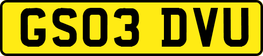 GS03DVU