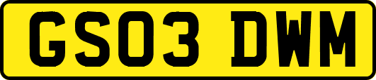 GS03DWM