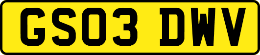 GS03DWV
