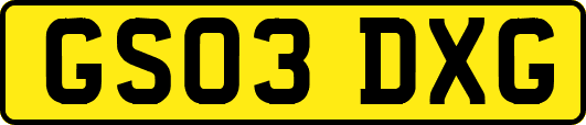 GS03DXG