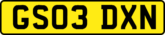 GS03DXN