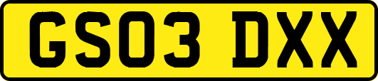 GS03DXX