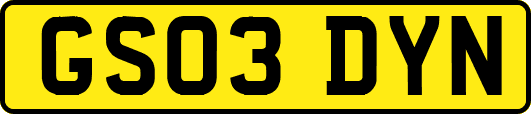 GS03DYN
