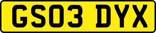 GS03DYX