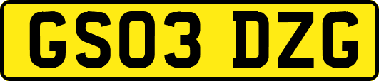 GS03DZG