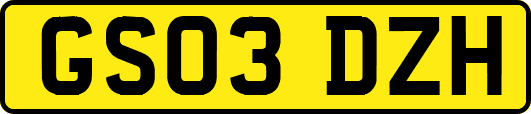 GS03DZH