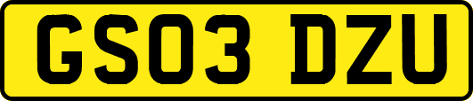 GS03DZU