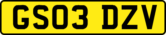 GS03DZV