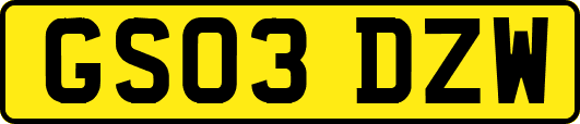 GS03DZW