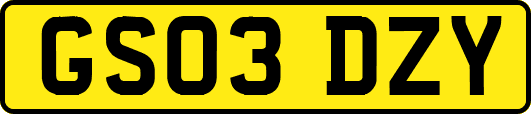 GS03DZY