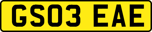 GS03EAE