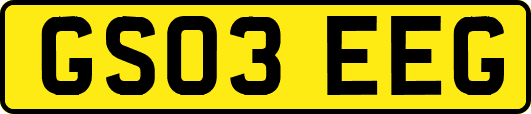 GS03EEG