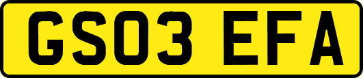 GS03EFA