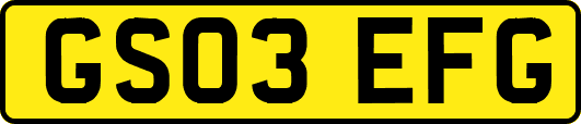 GS03EFG