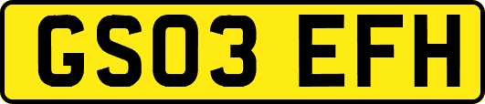 GS03EFH