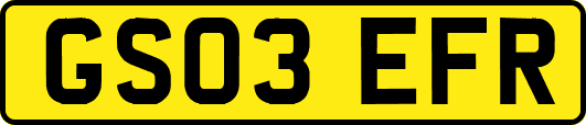 GS03EFR