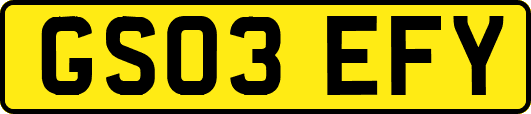 GS03EFY