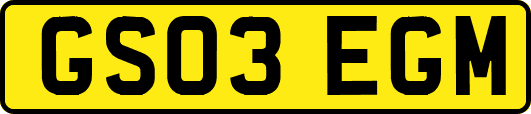 GS03EGM