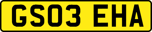 GS03EHA