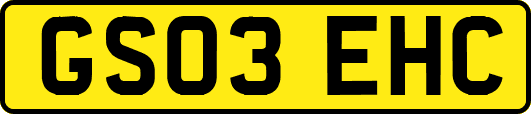 GS03EHC
