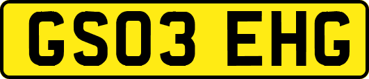 GS03EHG