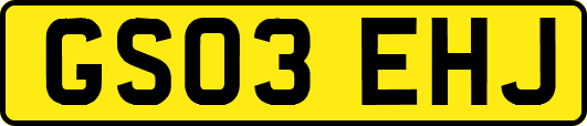 GS03EHJ