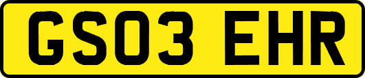 GS03EHR
